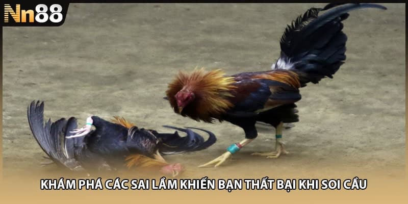 Khám phá các sai lầm khiến bạn thất bại khi soi cầu