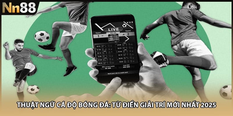 Thuật Ngữ Cá Độ Bóng Đá: Từ Điển Giải Trí Mới Nhất 2025